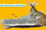 Chú thỏ và chiếc tai của anh ấy