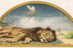 Truyện Song Ngữ: Sư tử và con muỗi