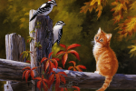Truyện song ngữ: Con mèo và những chú chim