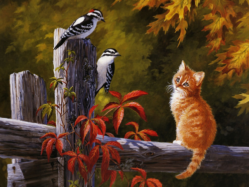 Truyện song ngữ: Con mèo và những chú chim