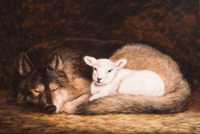 Truyện song ngữ: Con sói và cừu non