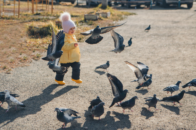 Birds and a Baby