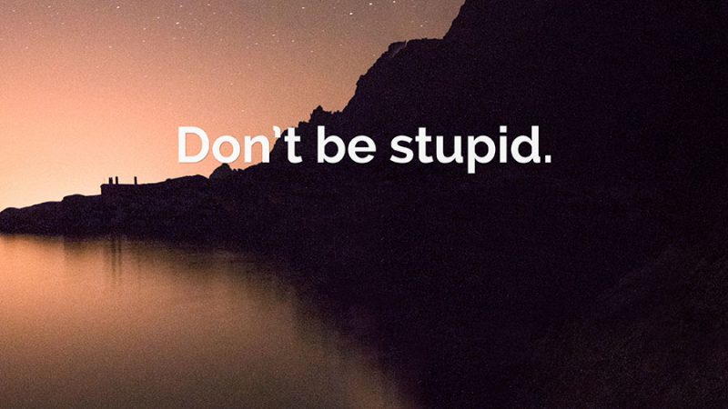Don’t Be Stupid