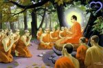 Nhờ nghe Phật pháp khỏi phải tự thiêu