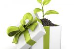 How to buy a present – Làm thế nào để mua một món quà