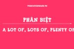 Sử dụng và Phân biệt A lot of, Lots of, Plenty of, A large amount of, A great deal of